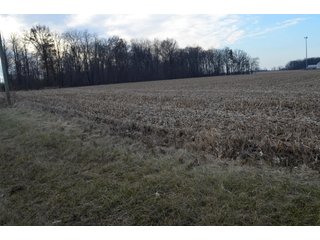 Property photo 9 - LAND AUCTION - 19.55+/- ACRES IN 1 TRACT IN ALLEN COUNTY, INDIANA